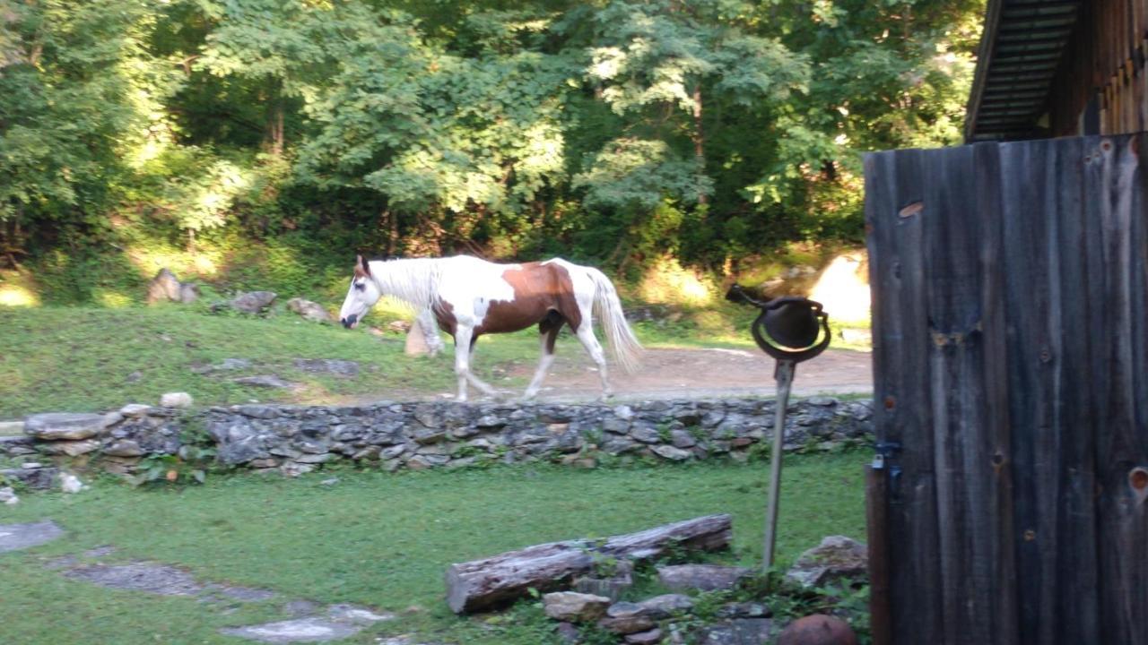 Arrowmont Stables & Cabins Cullowhee Exteriör bild