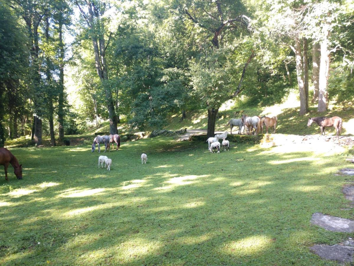Arrowmont Stables & Cabins Cullowhee Exteriör bild
