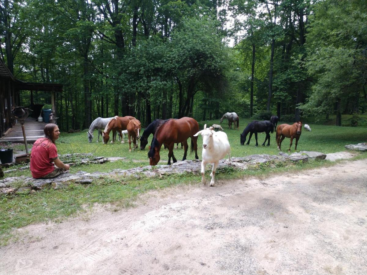 Arrowmont Stables & Cabins Cullowhee Exteriör bild